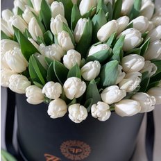 100 White Tulips FlorPassion Box