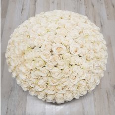 150 White Roses Box