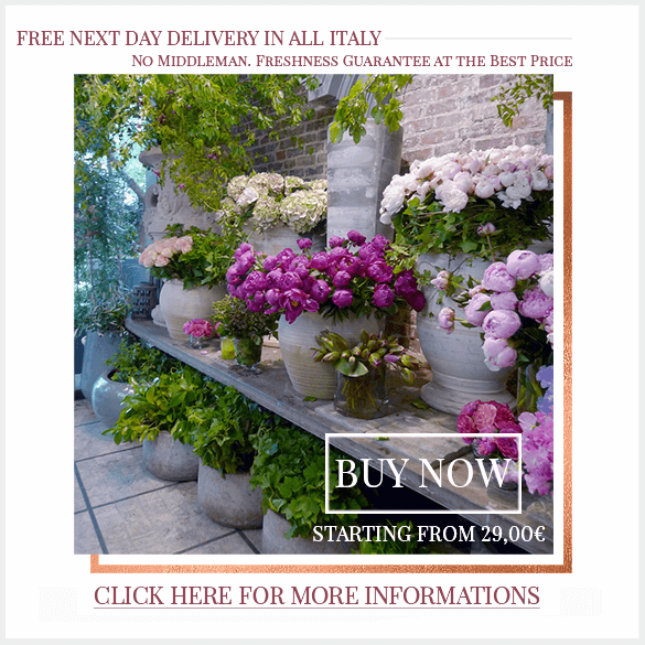 Local Milan Florist with Same Day Delivery Send Luxury Flowers & Gifts FlorPassion