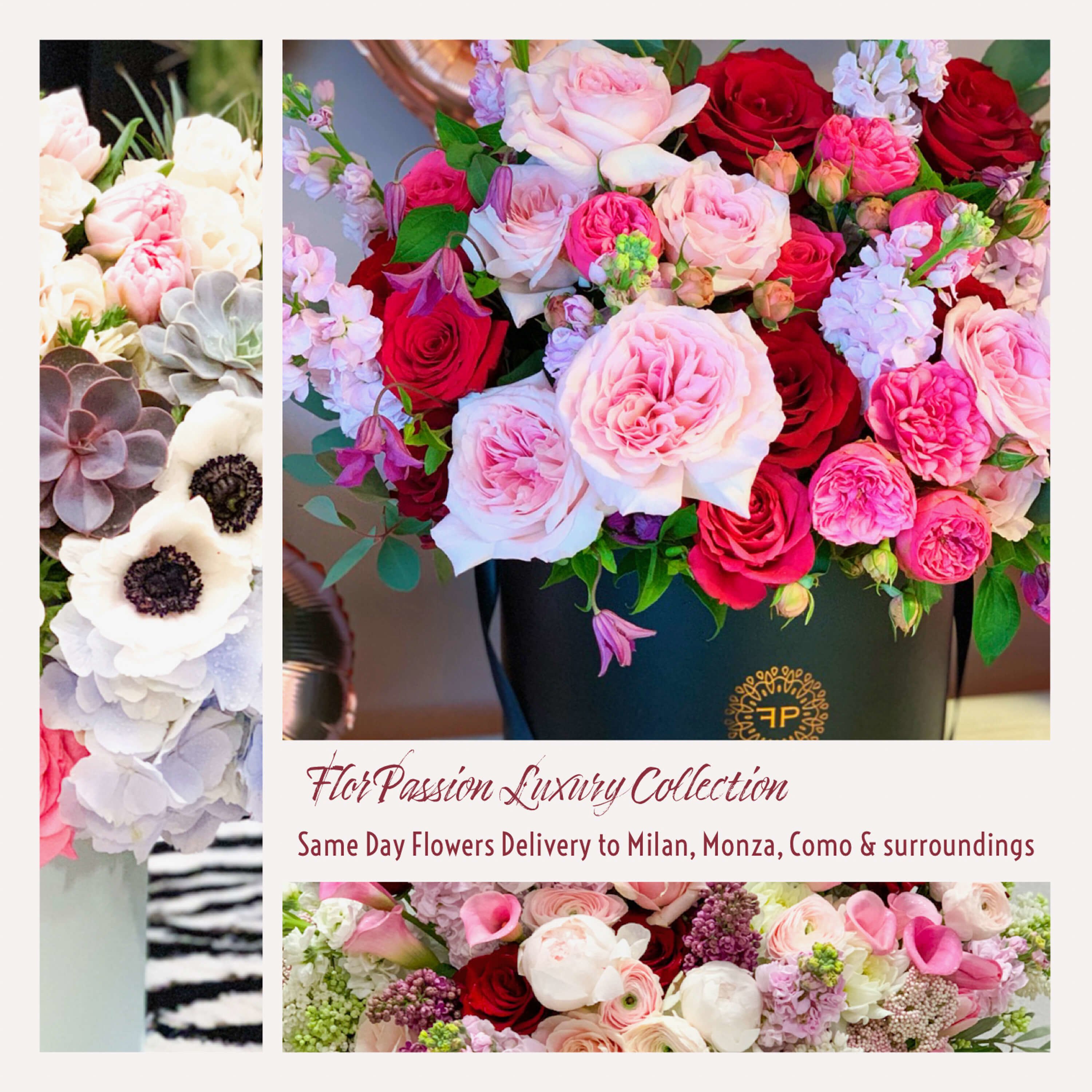 Luxury Flowers Delivery Milan Monza Como FlorPassi