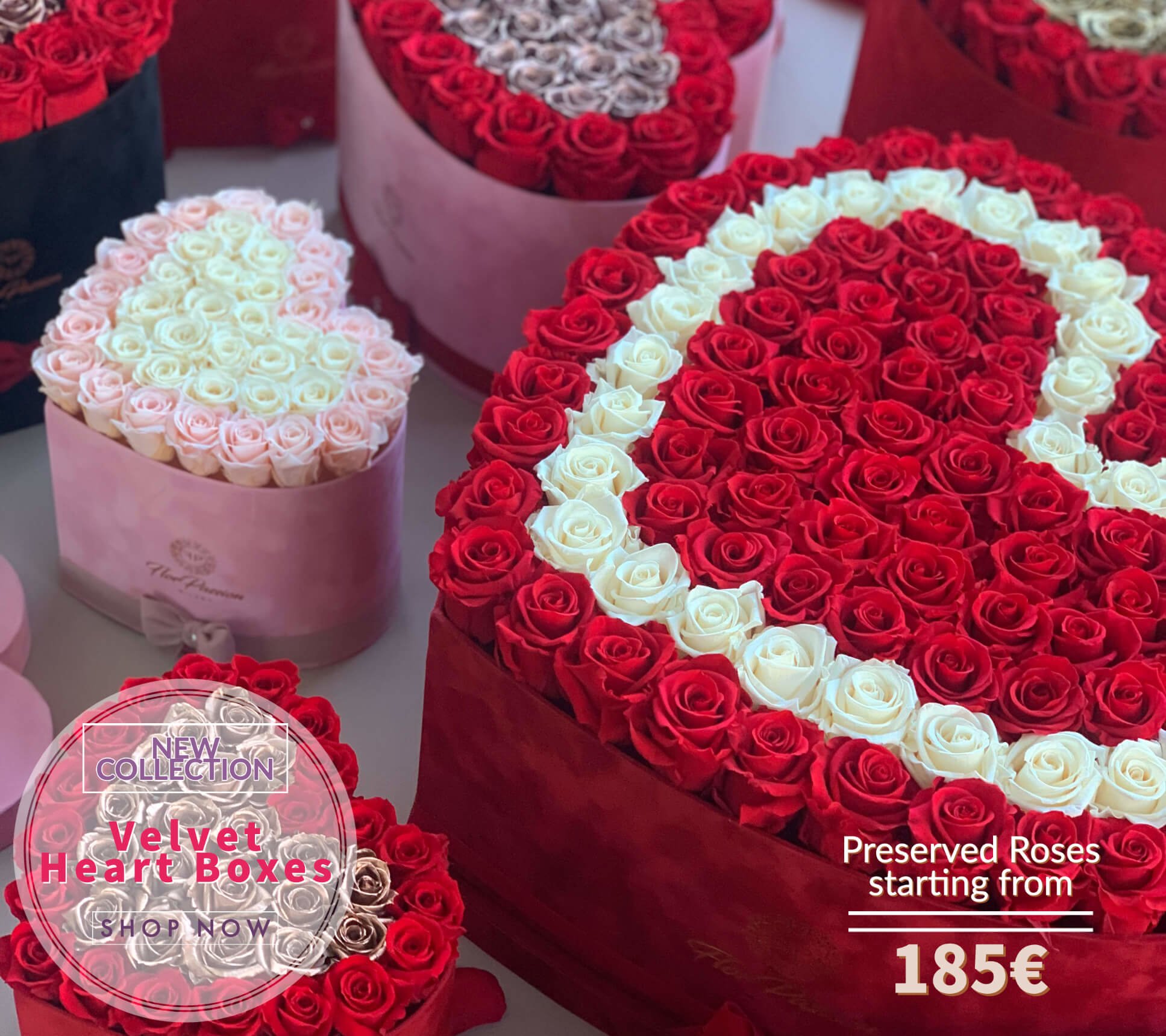 Velvet Box Preserved Roses Collection
