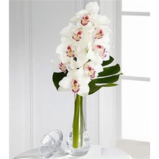 Orchidee Cymbidium Bouquet | Consegna Fiori Milano