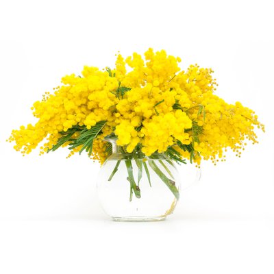 Bouquet Mimosa