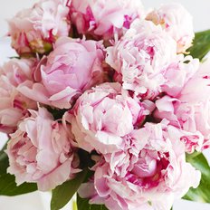 Bouquet Peonie Rosa