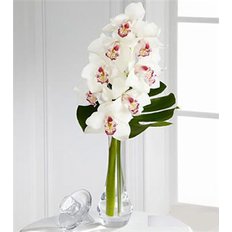 Bouquet Cymbidium Orchid | Flowers Delivery Milan