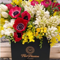 Claire FlorPassion Box