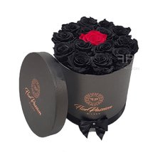 La Bella e la Bestia Forever Box