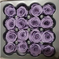 Lilac Preserved Roses, 16pcs