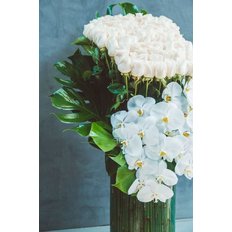 Luxury White Dream