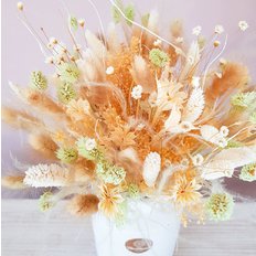 Mint & Ginger Dreamer