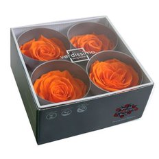 Orange Preserved Premium Roses, 4pcs