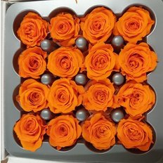 Orange Preserved Roses, 16pcs
