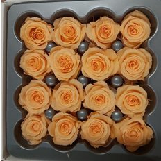 Peach Preserved Roses, 16pcs