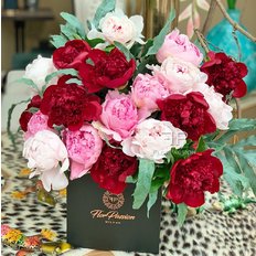 Peonia Bloom Box
