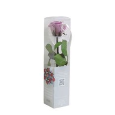 Preserved Mini Rose, Lilac