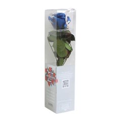 Rosa Amorosa Mini Stabilizzata Blu