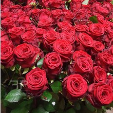 Invia Rose Rosse Red Naomi | Regalo San Valentino | Fiorista locale Milano Como