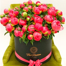 Scatola Peonie Corallo