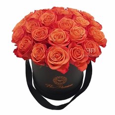 Scatola di Rose Brandy | Million Roses Box | FlorPassion Milano