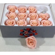 Vintage Pink Preserved Mini Roses, 12pcs