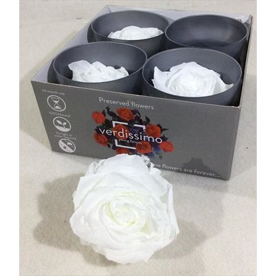 White Preserved Premium Roses, 4pcs