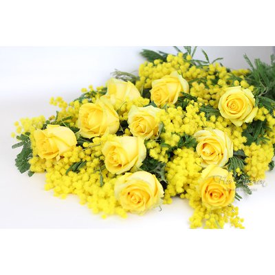 Yellow Roses and Mimosa